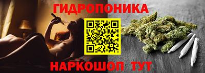 ГАЛЛЮЦИНОГЕННЫЕ ГРИБЫ Обь