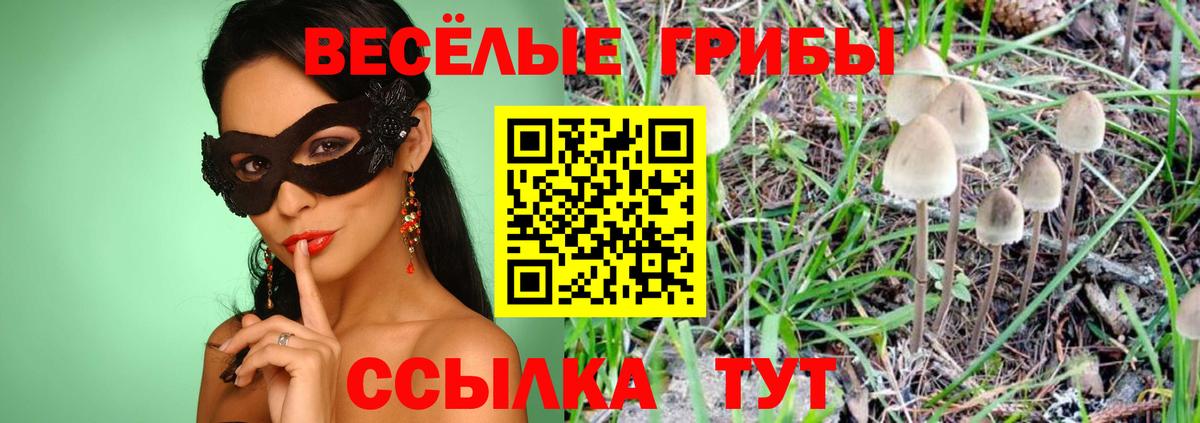 Псилоцибиновые грибы прущие грибы  Вход с VPN  Советск  Галлюциногенные грибы MAGIC MUSHROOMS 