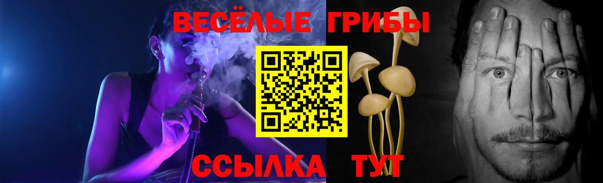 Галлюциногенные грибы ЛСД Советск